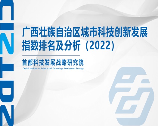 台湾最新福利av网【成果发布】广西壮族自治区城市科技创新发展指数排名及分析（2022）